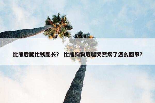 比熊后腿比钱腿长？ 比熊狗狗后腿突然瘸了怎么回事？