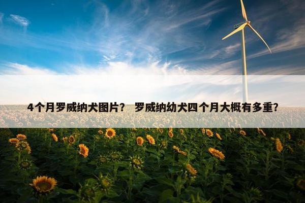 4个月罗威纳犬图片？ 罗威纳幼犬四个月大概有多重？