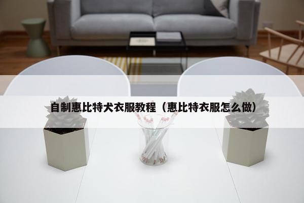 自制惠比特犬衣服教程（惠比特衣服怎么做）