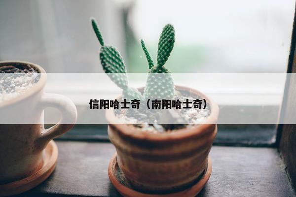 信阳哈士奇（南阳哈士奇）