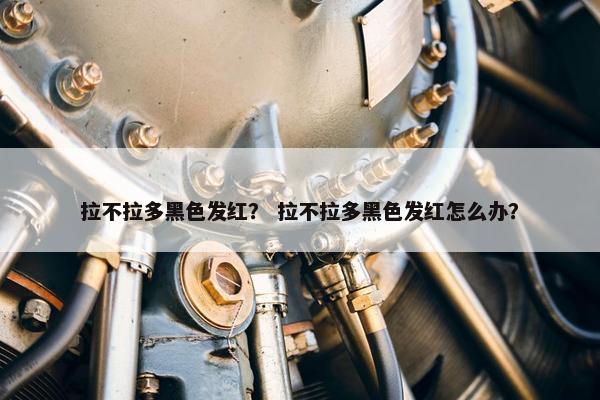 拉不拉多黑色发红？ 拉不拉多黑色发红怎么办？