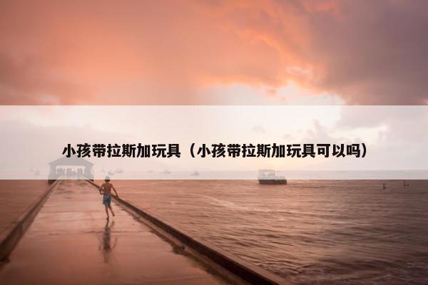 小孩带拉斯加玩具（小孩带拉斯加玩具可以吗）