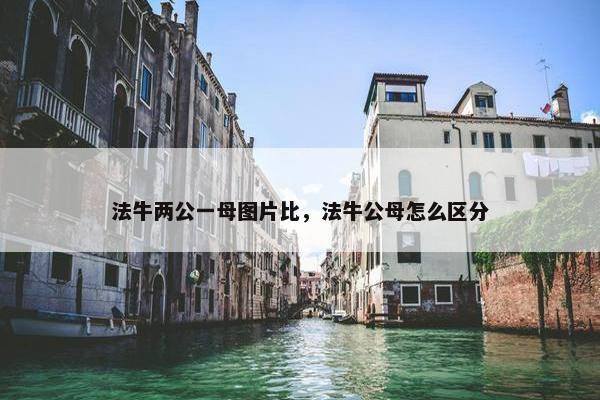 法牛两公一母图片比，法牛公母怎么区分
