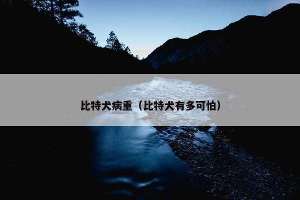 比特犬病重（比特犬有多可怕）