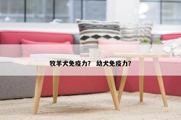牧羊犬免疫力？ 幼犬免疫力？