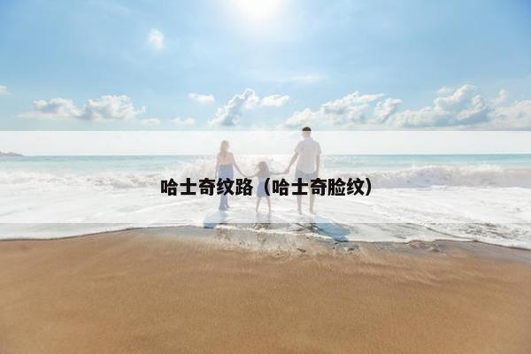 哈士奇纹路（哈士奇脸纹）