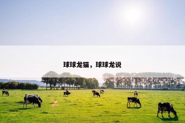 球球龙猫，球球龙说