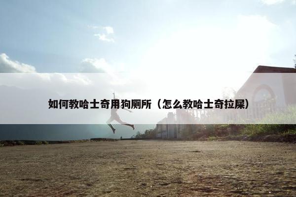 如何教哈士奇用狗厕所（怎么教哈士奇拉屎）