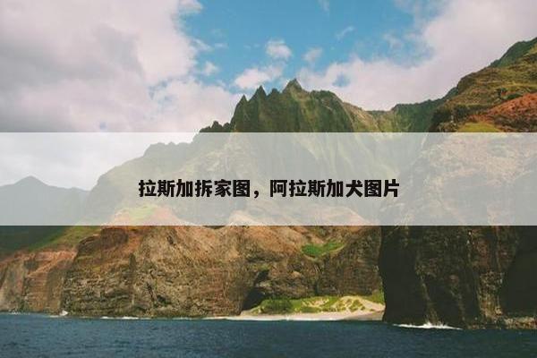 拉斯加拆家图，阿拉斯加犬图片