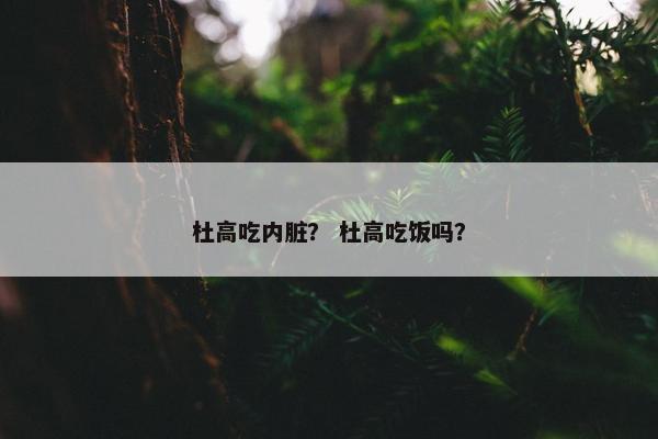 杜高吃内脏？ 杜高吃饭吗？