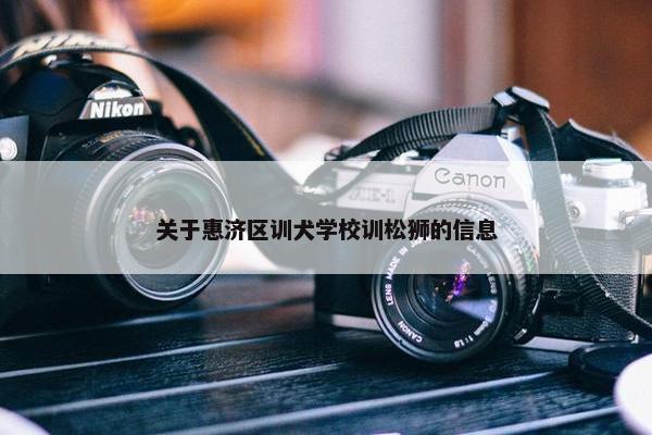 关于惠济区训犬学校训松狮的信息