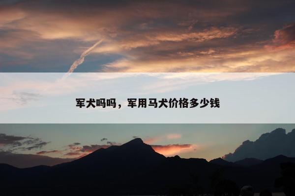 军犬吗吗，军用马犬价格多少钱