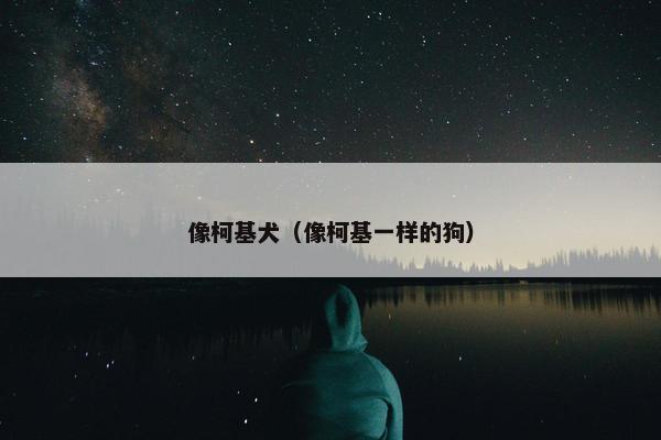 像柯基犬（像柯基一样的狗）