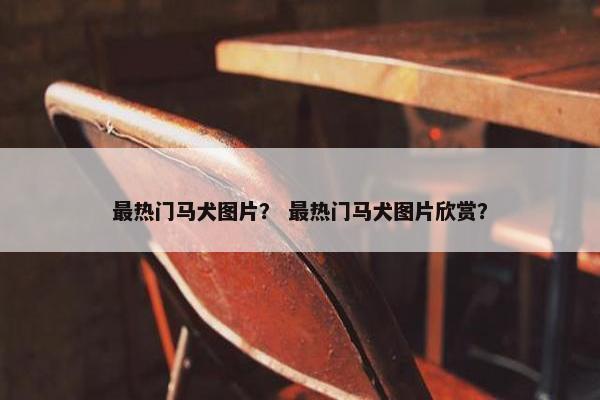 最热门马犬图片？ 最热门马犬图片欣赏？