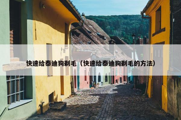 快速给泰迪狗剃毛（快速给泰迪狗剃毛的方法）
