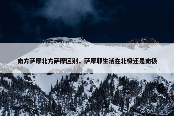 南方萨摩北方萨摩区别，萨摩耶生活在北极还是南极