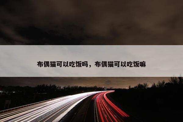 布偶猫可以吃饭吗，布偶猫可以吃饭嘛