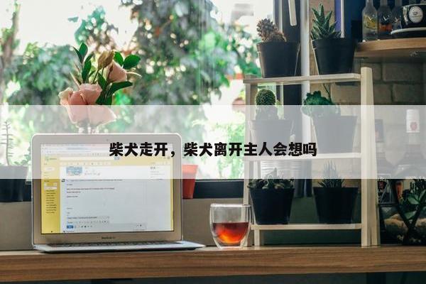 柴犬走开，柴犬离开主人会想吗