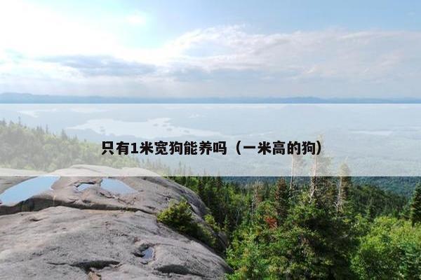 只有1米宽狗能养吗（一米高的狗）