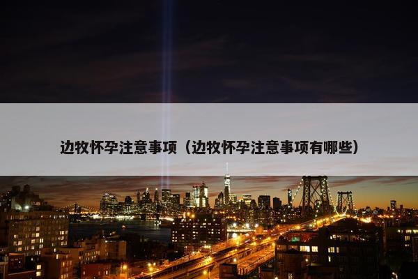 边牧怀孕注意事项（边牧怀孕注意事项有哪些）