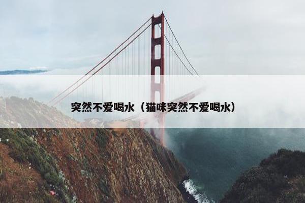突然不爱喝水（猫咪突然不爱喝水）