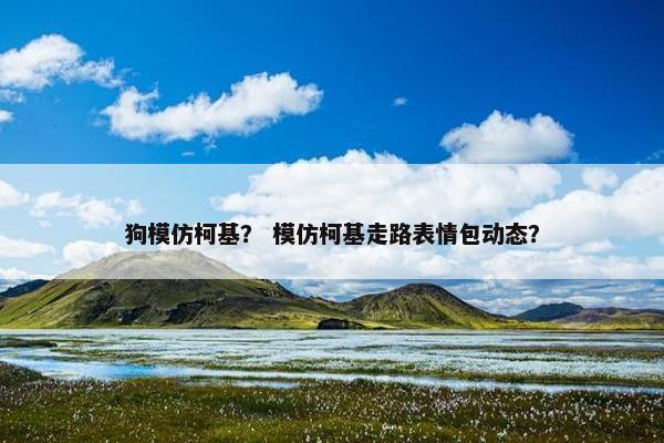 狗模仿柯基？ 模仿柯基走路表情包动态？