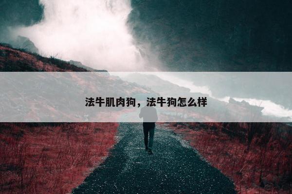 法牛肌肉狗，法牛狗怎么样