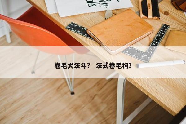 卷毛犬法斗？ 法式卷毛狗？