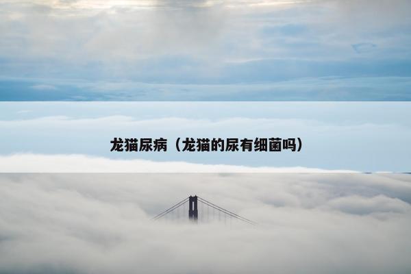 龙猫尿病（龙猫的尿有细菌吗）