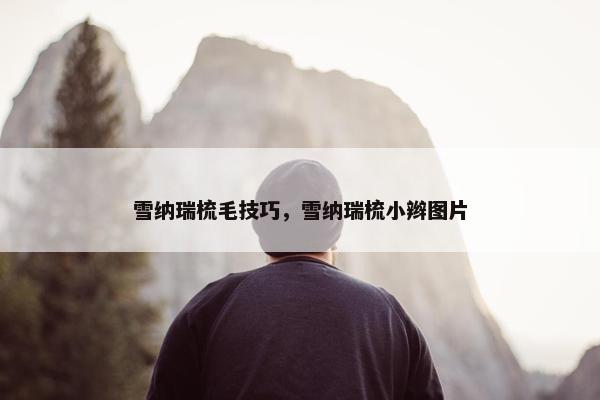雪纳瑞梳毛技巧，雪纳瑞梳小辫图片