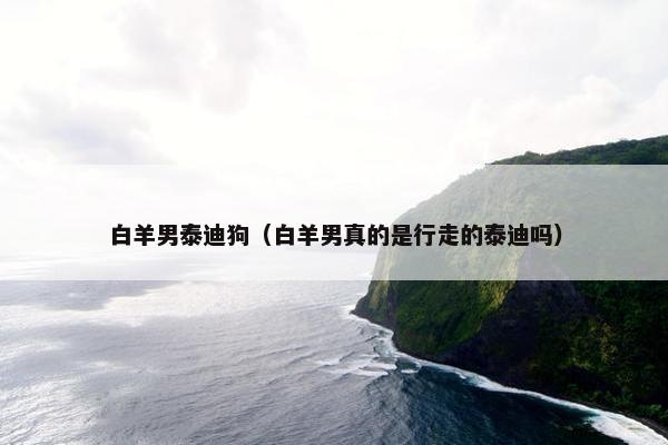 白羊男泰迪狗（白羊男真的是行走的泰迪吗）