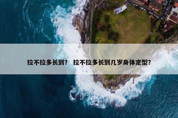 拉不拉多长到？ 拉不拉多长到几岁身体定型？