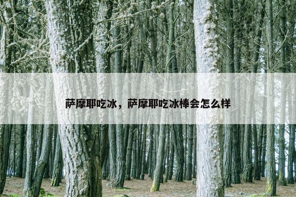 萨摩耶吃冰，萨摩耶吃冰棒会怎么样