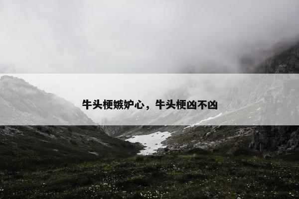 牛头梗嫉妒心，牛头梗凶不凶