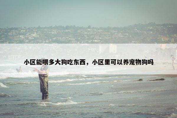 小区能喂多大狗吃东西，小区里可以养宠物狗吗
