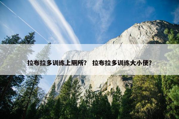 拉布拉多训练上厕所？ 拉布拉多训练大小便？
