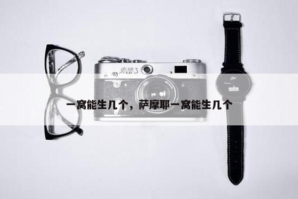 一窝能生几个，萨摩耶一窝能生几个