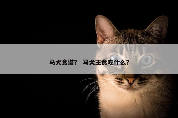 马犬食谱？ 马犬主食吃什么？