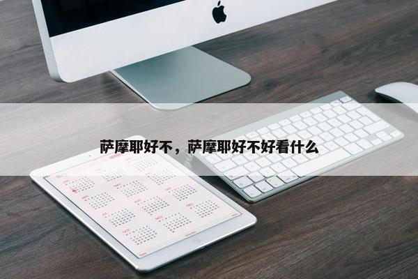 萨摩耶好不，萨摩耶好不好看什么