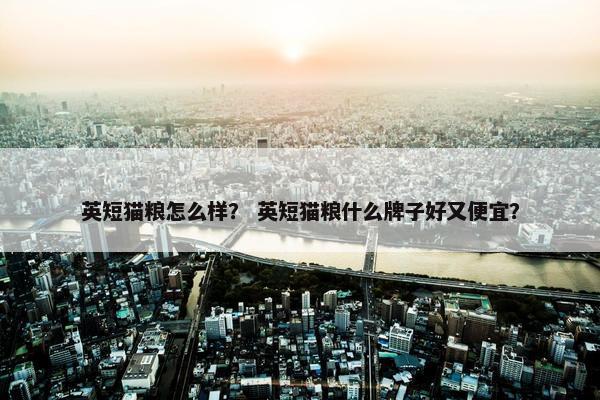 英短猫粮怎么样？ 英短猫粮什么牌子好又便宜？