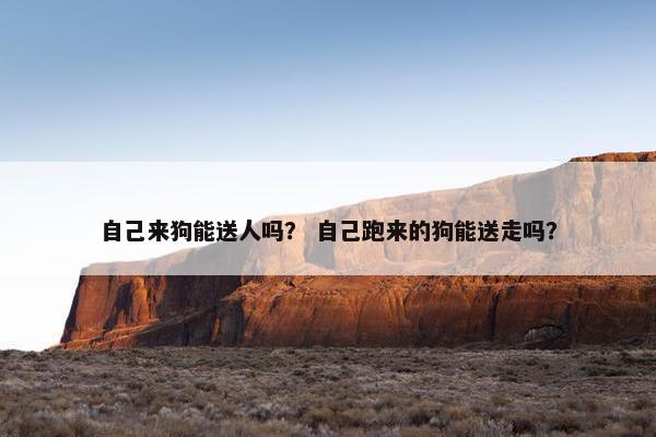 自己来狗能送人吗？ 自己跑来的狗能送走吗？