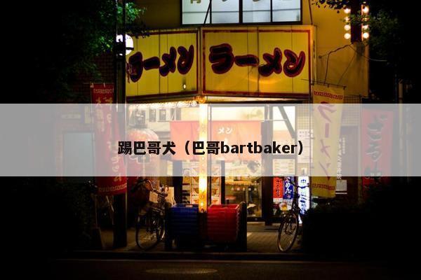 踢巴哥犬（巴哥bartbaker）
