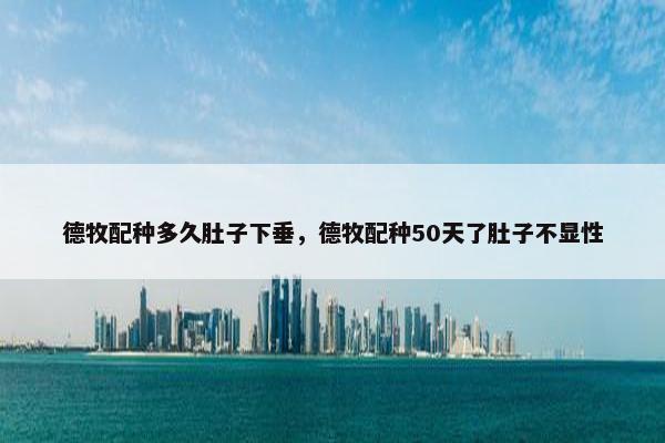 德牧配种多久肚子下垂，德牧配种50天了肚子不显性