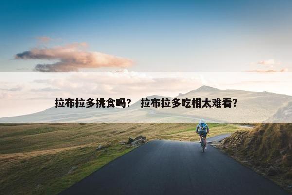 拉布拉多挑食吗？ 拉布拉多吃相太难看？