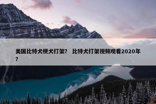 美国比特犬梗犬打架？ 比特犬打架视频观看2020年？