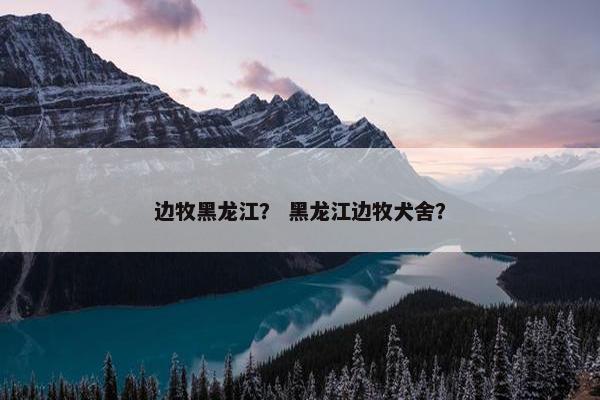 边牧黑龙江？ 黑龙江边牧犬舍？