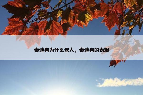 泰迪狗为什么老人，泰迪狗的表现