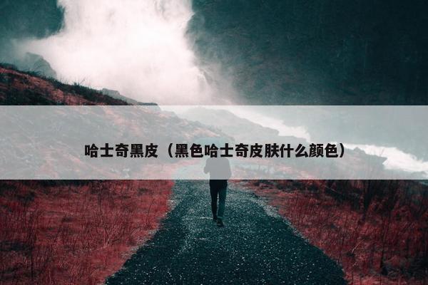 哈士奇黑皮（黑色哈士奇皮肤什么颜色）