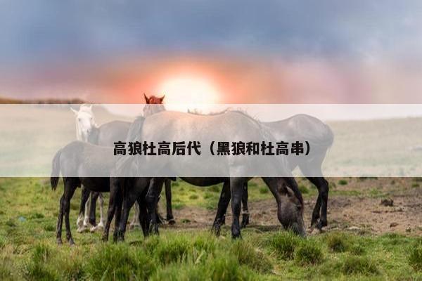 高狼杜高后代（黑狼和杜高串）