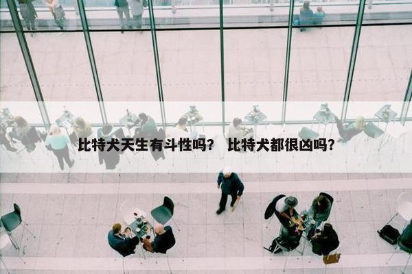 比特犬天生有斗性吗？ 比特犬都很凶吗？